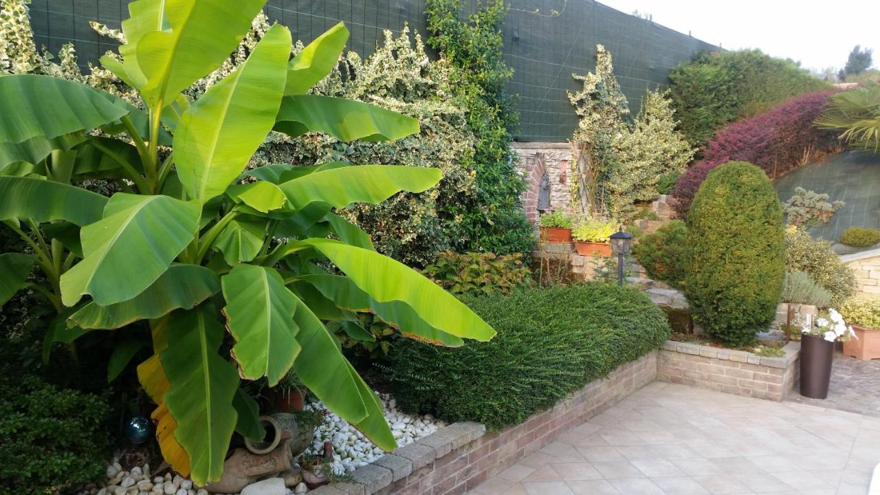 Villa Laura B&B Fossano Buitenkant foto